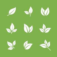 Green Leaf Vector, Eco Leaves Spa Logo Template vector