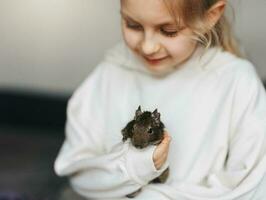 pequeño niña jugando con pequeño animal degú ardilla. foto