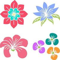 set of color full beautiful flowers vector illustration design