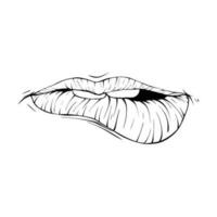 vector labios bosquejo negro y blanco