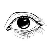 Hand drawn sketch eye vector
