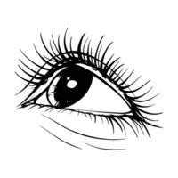 Hand drawn sketch eye vector