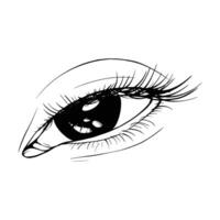 Hand drawn sketch eye vector