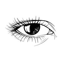 Hand drawn sketch eye vector