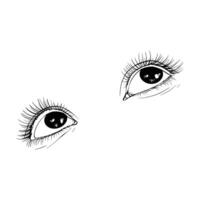 Hand drawn sketch female eyes vector