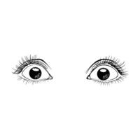 Hand drawn sketch female eyes vector