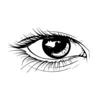 Hand drawn sketch eye vector