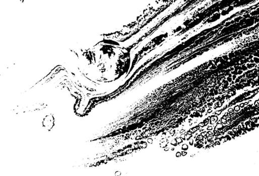 Rustic grunge vector texture with grain and stains. Abstract noise background. Weathered surface.