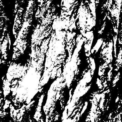 Rustic grunge vector texture with grain and stains. Abstract noise background. Weathered surface.