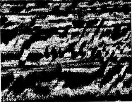 textura vectorial grunge rústica con grano y manchas. fondo de ruido abstracto. superficie erosionada. vector