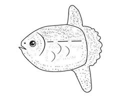 pescado vector, pescado negro y blanco, colorante paginas vector