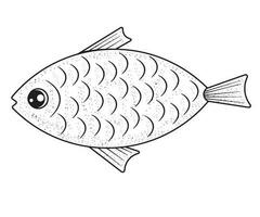 Fish Vector, Fish Black and White, Coloring Pages vector