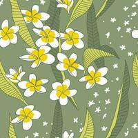 Seamless pattern with plumeria flowers and leaves on green background vector