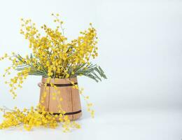 Mimosa flowers on a wooden surface., Mimosa flowers in a wooden mini bucket. photo