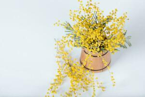 Mimosa flowers on a wooden surface., Mimosa flowers in a wooden mini bucket. photo