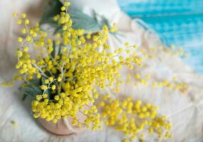 Mimosa flowers on a wooden surface. photo