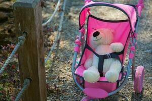 Teddy bear fastened in the baby carriage photo