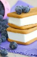 Sandwich ice cream with blueberries photo