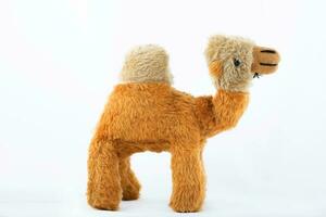 Plush camel on a white background. photo