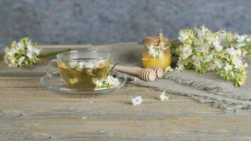 Glass cup of chestnut tea. Closeup photo