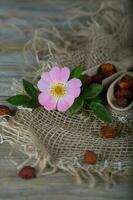 Fresh rose hip on a wooden surface. photo