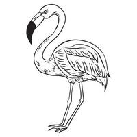 Standing Flamingo bird outline ,good for graphic design resources, stickers, prints, decorative assets, posters, and more. vector