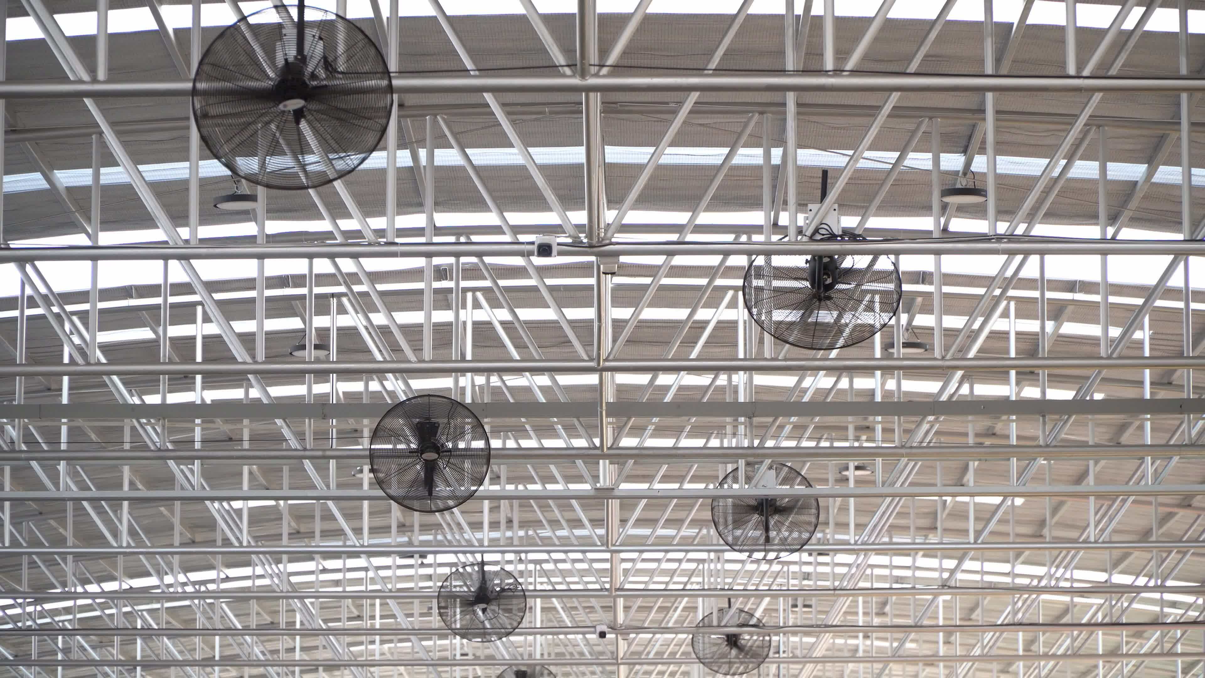 Electric ceiling fan in the garage 26305606 Stock Video at Vecteezy
