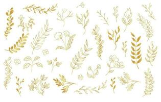 Set of golden branches with leaves and flowers on isolated background. Hand drawing wildflower for background, wrapper pattern, frame or border. Line art vector