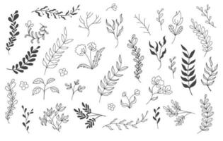 A set of branches with leaves and flowers on isolated background.. Decorative Elements for Decoration. Line art vector