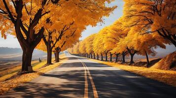 Breathtaking view of early morning sunrise in the woods with beautiful autumn colors. photo