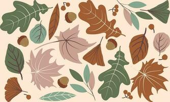 Autumn seamless pattern with different leaves vector