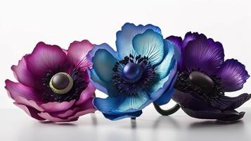 Vintage Botanical Anemone Flower Design. photo