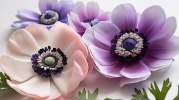 Beautiful white flower anemones in fresh spring morning. photo
