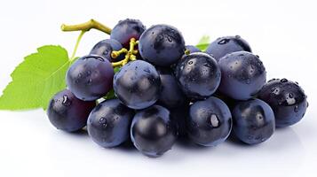 Summer black blue sweet ripe. photo