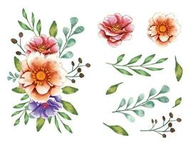 Water color flower fame elements with bouquet and leaves vector