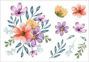 Watercolor flower bouquet with isolated leaves for floral border and invitation card vector