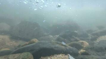 unter Wasser schnell fließen mit Luftblasen schwebend video