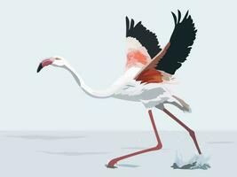 dancing flamingo vector illustration