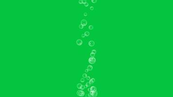 Animé bulles en volant en haut isolé sur vert écran Contexte video