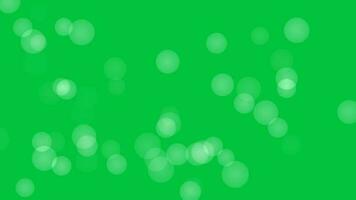 Round Bokeh particle animation on green screen background bokeh video