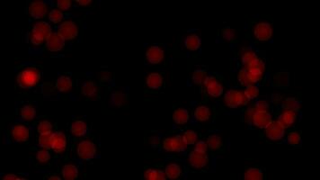 Red round dot light bokeh particle animation on black background video