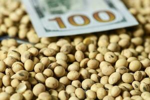 Dollars banknotes and coins and soy beans, commoditi value concept. photo