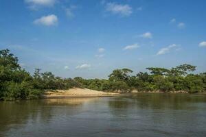 Amazon jungle  to river banks,Brazil photo