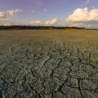 Broken dry soil in a Pampas lagoon, La Pampa province, Patagonia, Argentina. photo