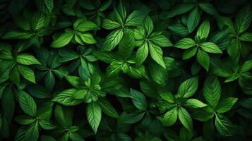 Seamless background with green leaves. photo