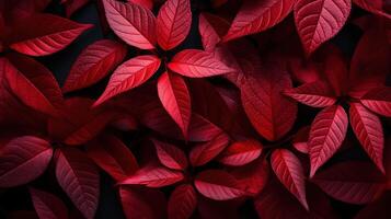 Top view paper autumn leaves arrangement. photo