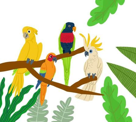 Different type of exotic birds. Vector flat cartoon graphic design illustration