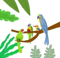 Different type of exotic birds. Vector flat cartoon graphic design illustration