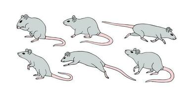 Vector hand drawn sketch set bundle of rat mouse