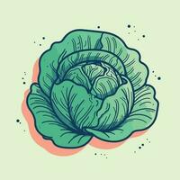 Vector of a detailed drawing of a cabbage on a vibrant green background